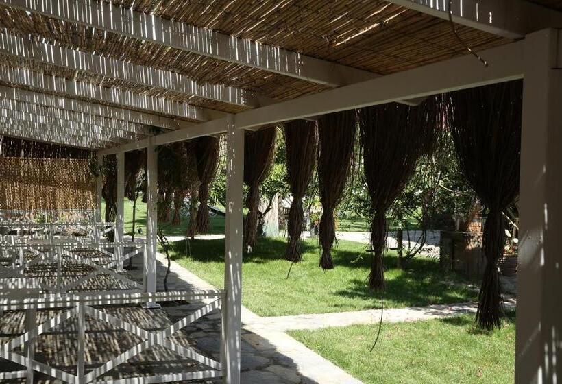 スタンダード４人部屋, Daphnis