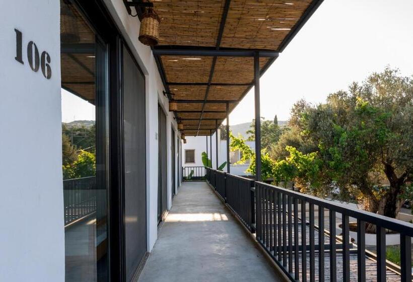 景色の見える一ベッドルームアパートメント, Daphnis