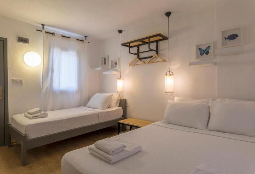 스탠다드 룸, Daphnis