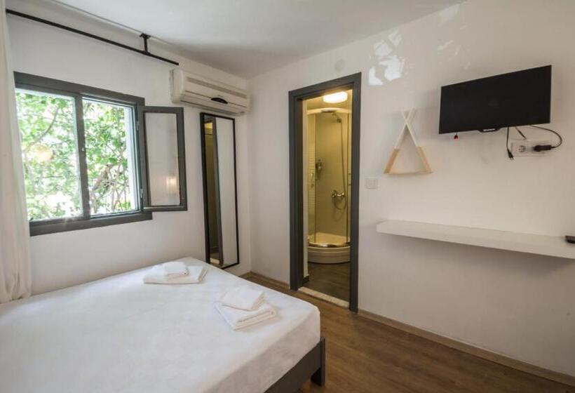 スタンダードルーム, Daphnis