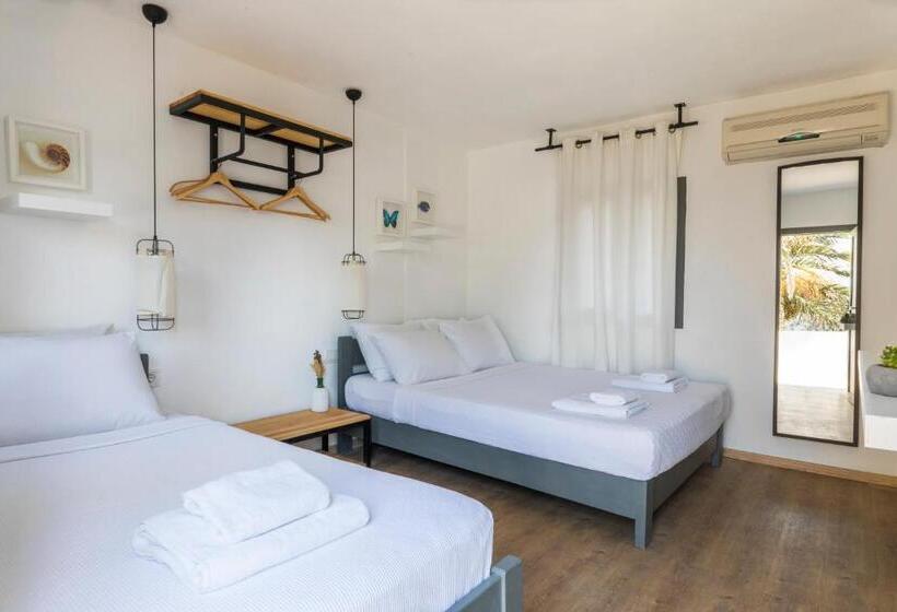 スタンダードルーム, Daphnis