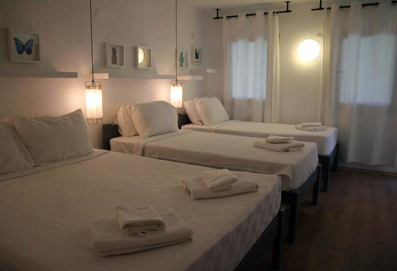 スタンダード４人部屋, Daphnis