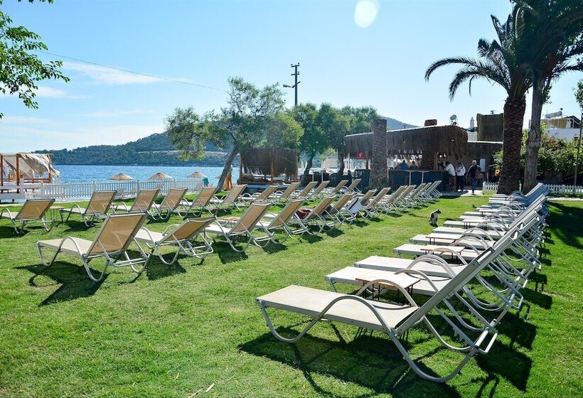 スタンダード４人部屋, Daphnis