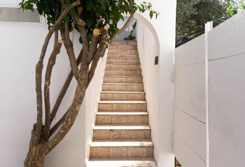 スイート（家族用）, Daphnis