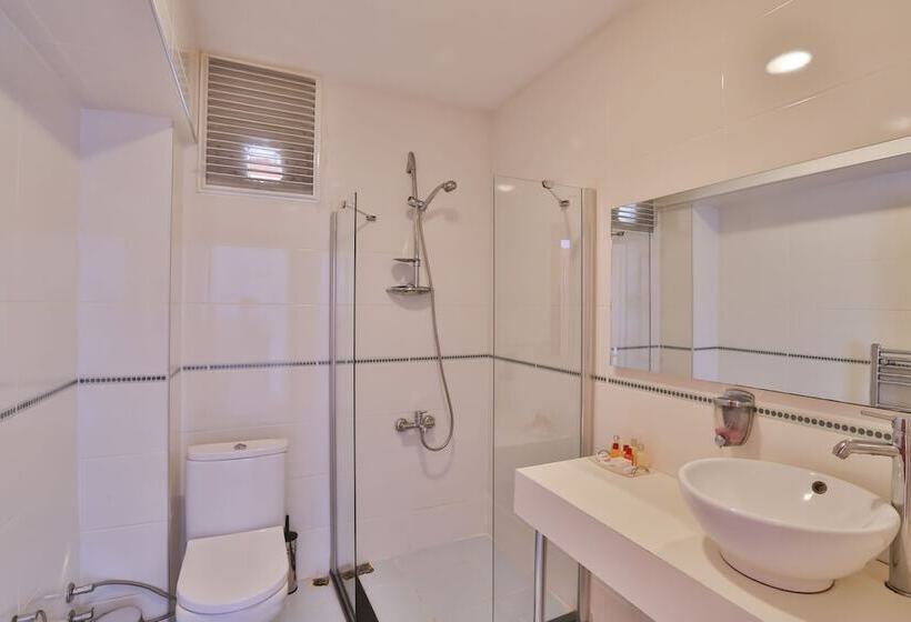 اتاق استاندارد, Mints Hotel Adult Only