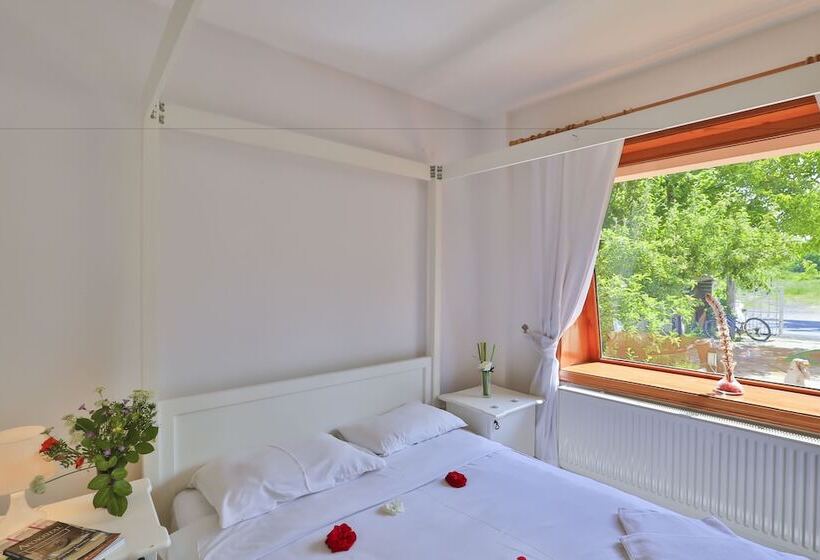 اتاق استاندارد, Mints Hotel Adult Only