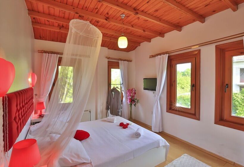 اتاق استاندارد, Mints Hotel   Adult Only