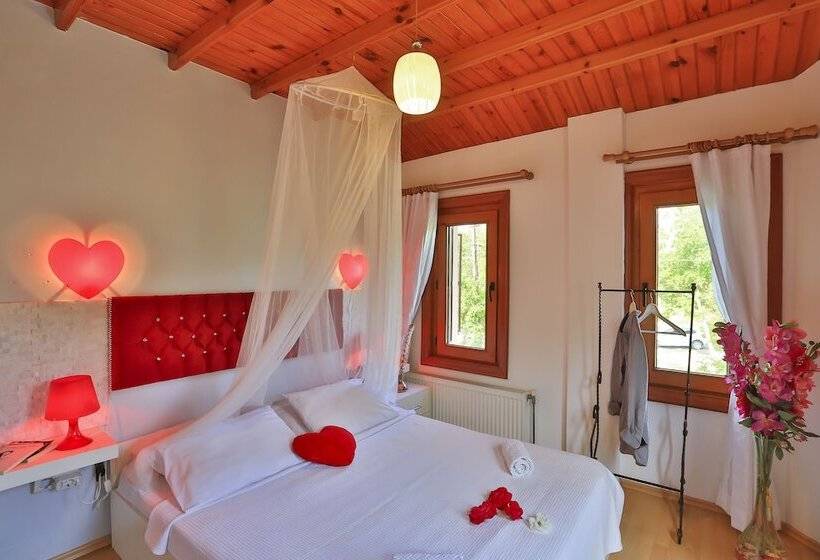 اتاق استاندارد, Mints Hotel Adult Only