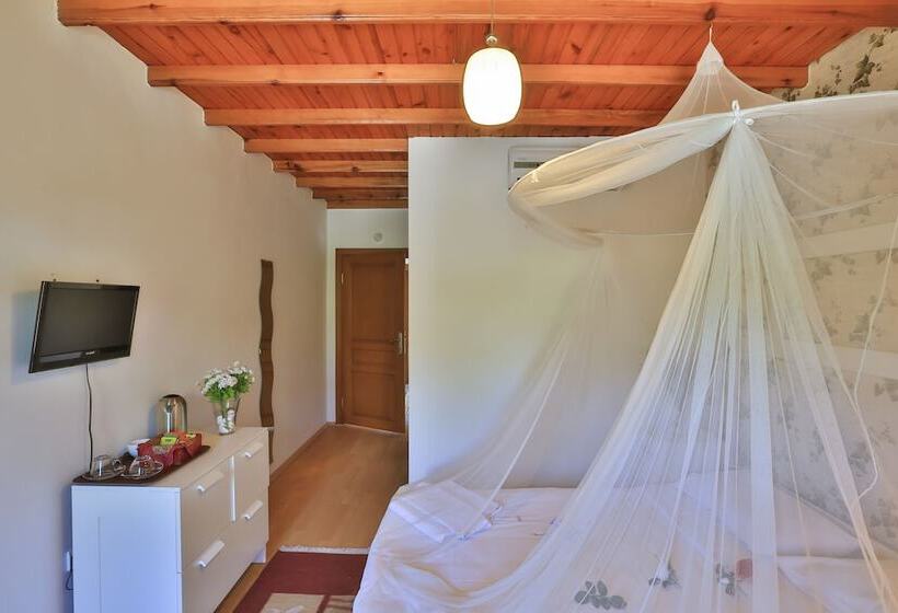 اتاق استاندارد, Mints Hotel Adult Only