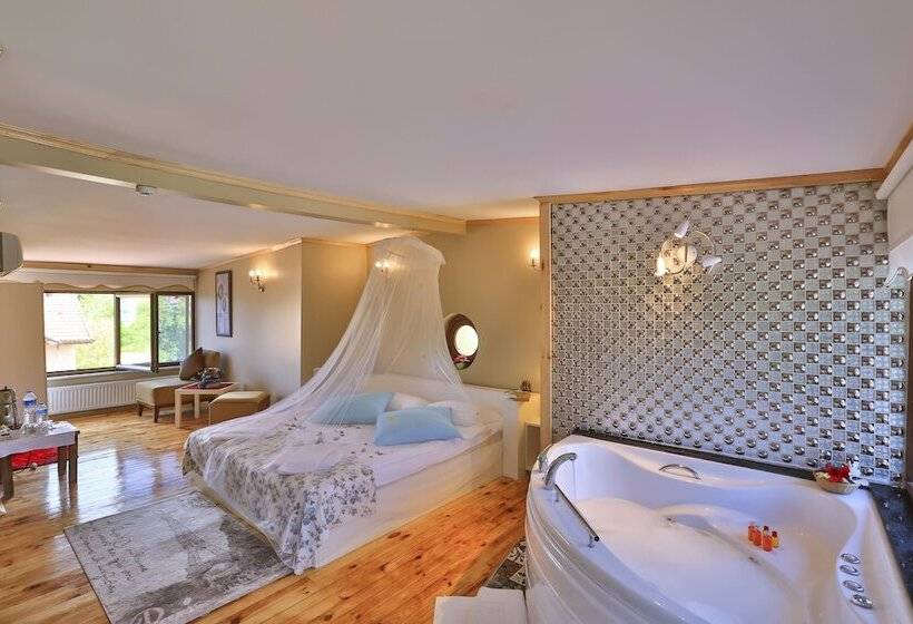 Deluxe room with river view, Mints Hotel Adult Only