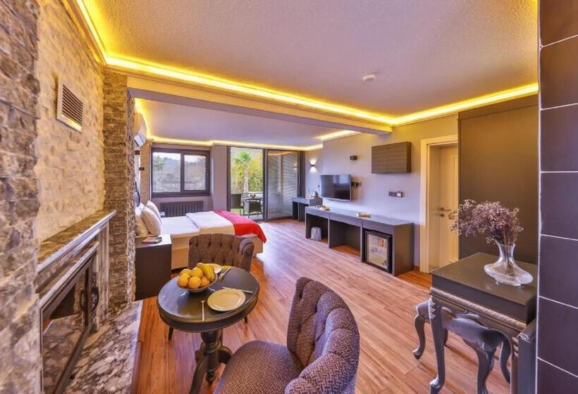 اتاق استاندارد, Mints Hotel Adult Only