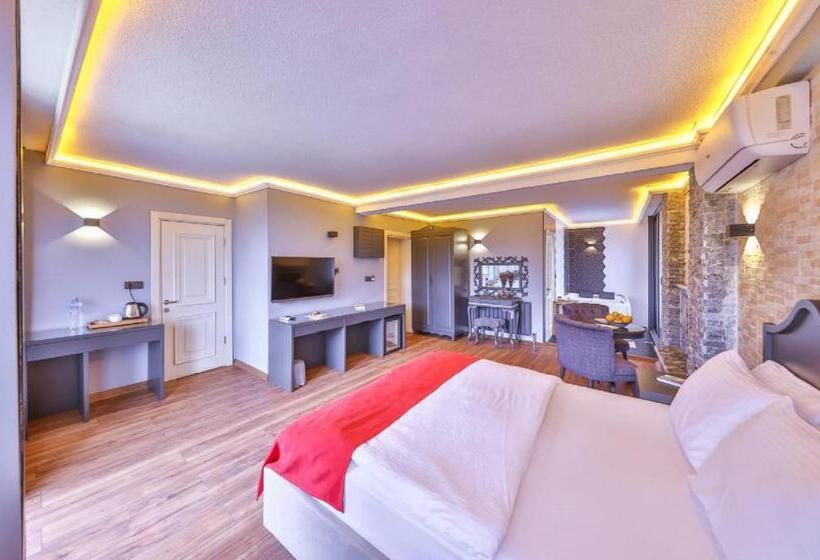 اتاق استاندارد, Mints Hotel Adult Only