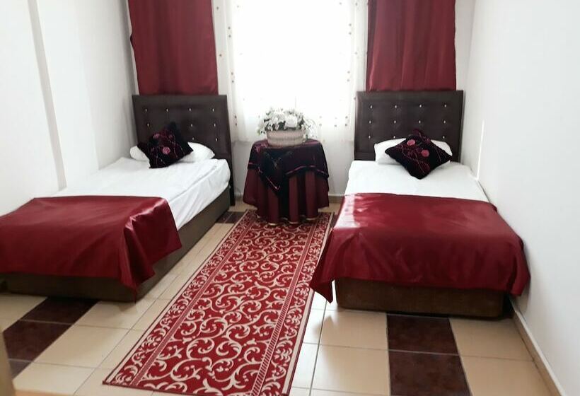 标准单人间, Talaslioglu