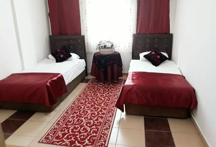 اتاق استاندارد یک نفره, Talaslioglu
