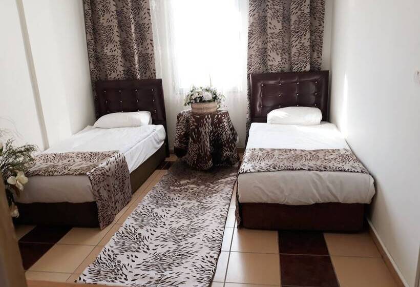 舒适型单人间, Talaslioglu