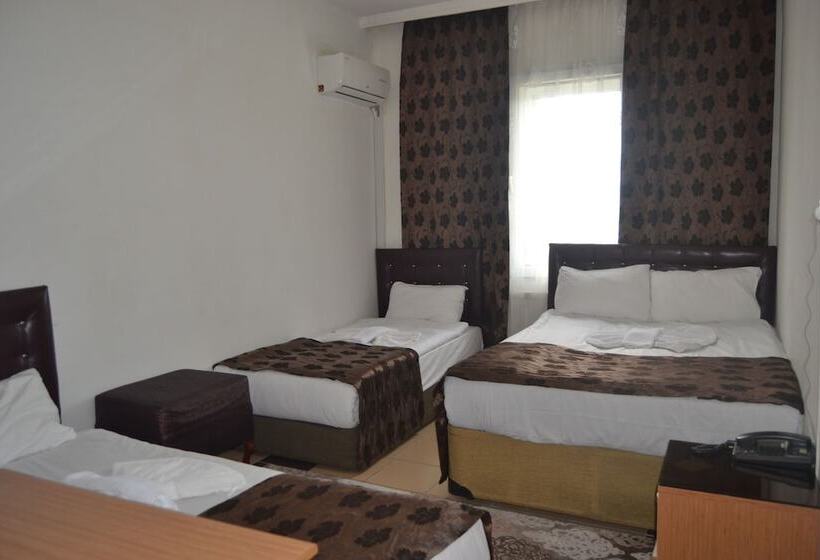 舒适型单人间, Talaslioglu