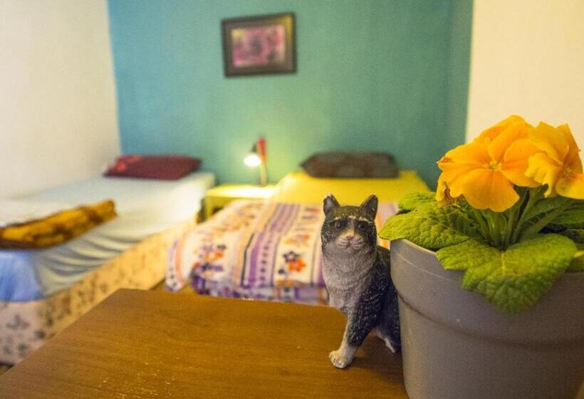 اتاق خانوادگی با سرویس بهداشتی مشترک, Shantihome