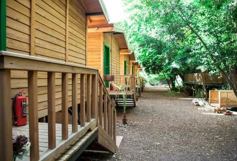 Бунгало Стандарт, Ekinoks Hotel   Adults Only