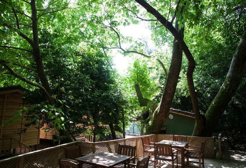 Бунгало Стандарт, Ekinoks Hotel   Adults Only