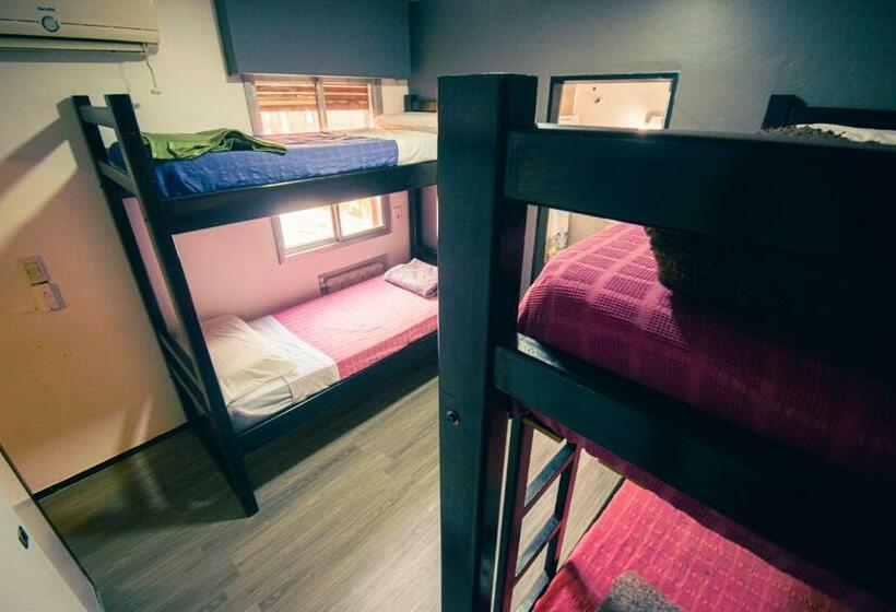 מיטה בחדר משותף, Chill Inn Hostel