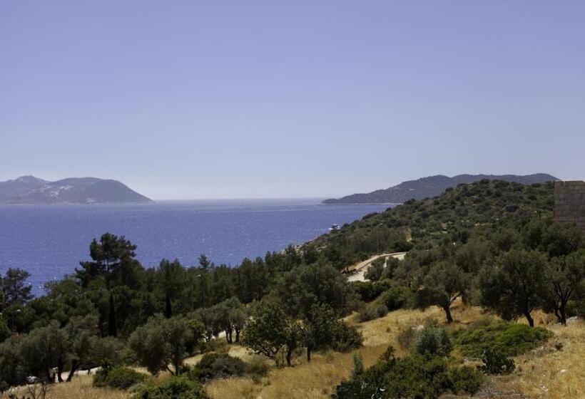 غرفة قياسية إطلالة جانبية علي البحر, Hideaway