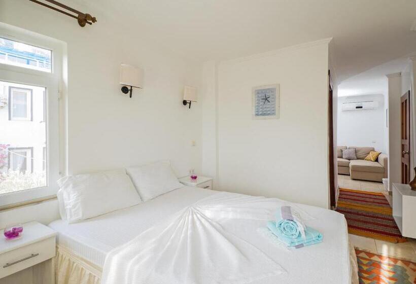 豪华套房, Hideaway