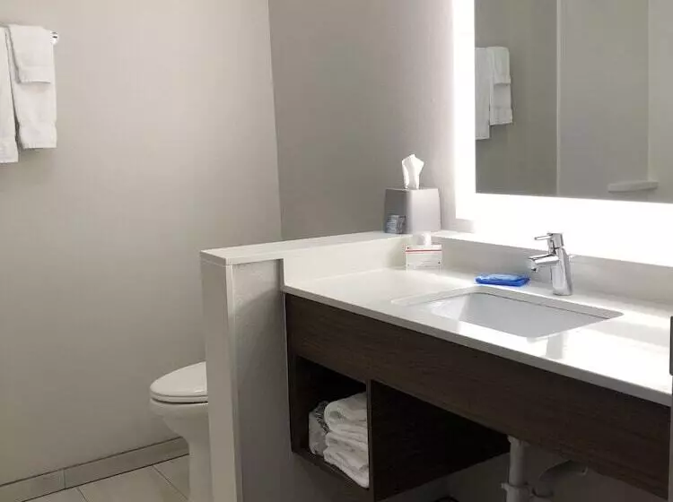 障害者適応デラックスルーム, Holiday Inn Express & Suites Broomfield, An Ihg