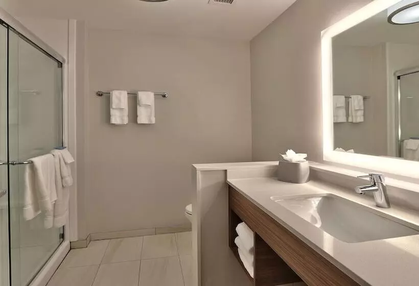 スイート, Holiday Inn Express & Suites Broomfield, An Ihg