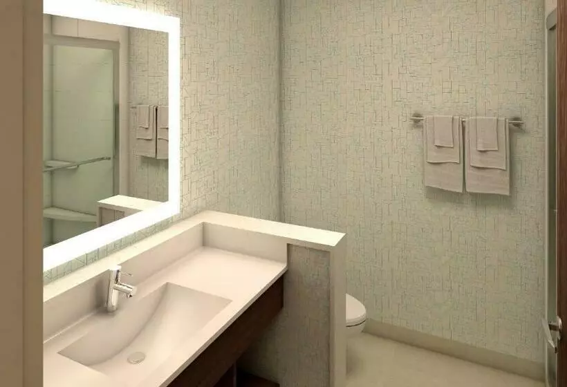 障害者適応デラックスルーム, Holiday Inn Express & Suites Broomfield, An Ihg