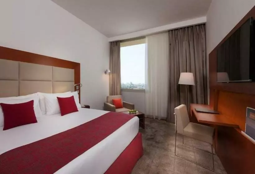 سوییت جونیور, Steigenberger Hotel El Tahrir Cairo