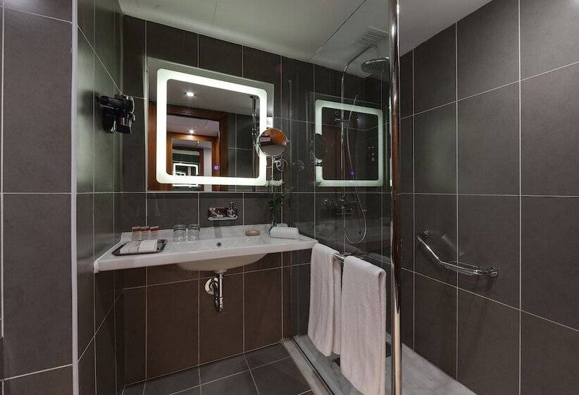 シティビューのスーペリアルーム, Steigenberger Hotel El Tahrir Cairo