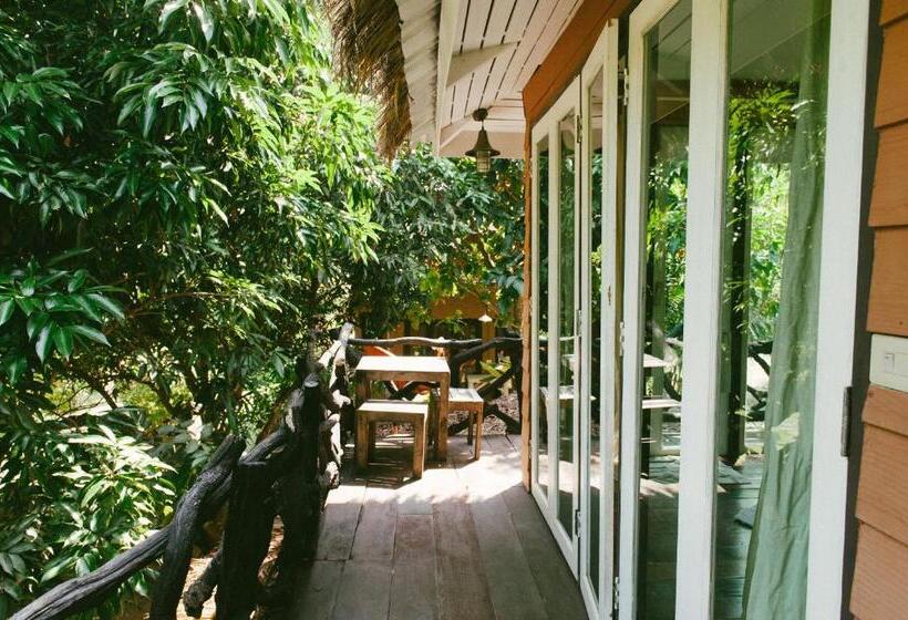 Quarto Estandar, Baan Pong Tara