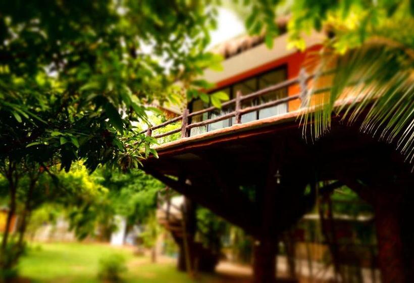 标准平房, Baan Pong Tara