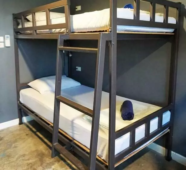 تختخواب در اتاق مشترک, B&b House & Hostel
