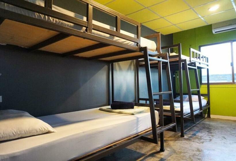 سرير فى غرفة مشتركه, B&b House & Hostel