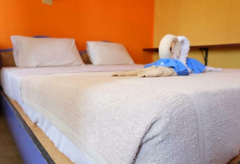 스탠다드 룸, B&b House & Hostel