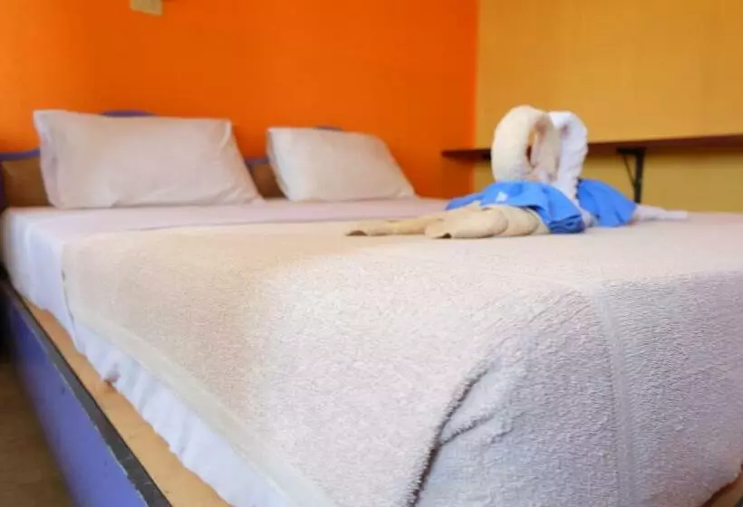 اتاق استاندارد, B&b House & Hostel