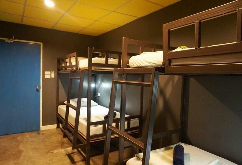 공동 객실, B&b House & Hostel