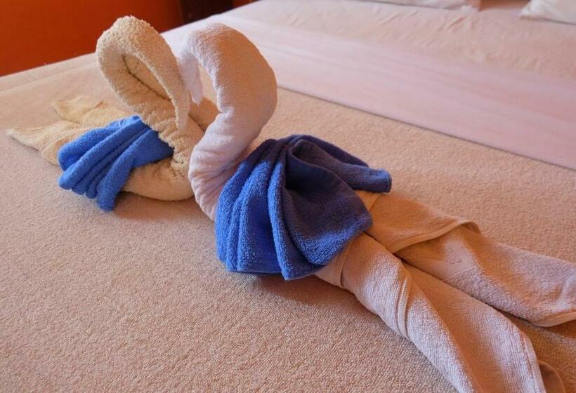 스탠다드 룸, B&b House & Hostel