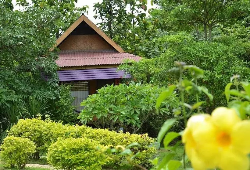 بانگلوی استاندارد, Romantic Time Mountain Resort
