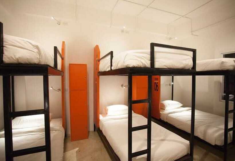 سرير فى غرفة مشتركه, Mad Monkey Chiang Mai   Hostel