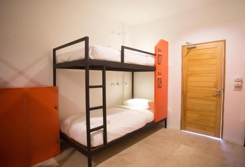 سرير فى غرفة مشتركه, Mad Monkey Chiang Mai   Hostel