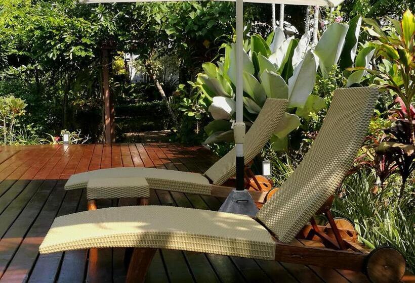 اتاق استاندارد با چشم‌انداز کوهستان, Villa Albizia, Chiang Mai