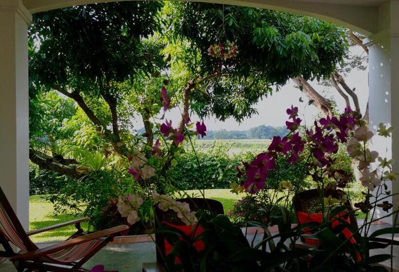 اتاق استاندارد با چشم‌انداز کوهستان, Villa Albizia, Chiang Mai