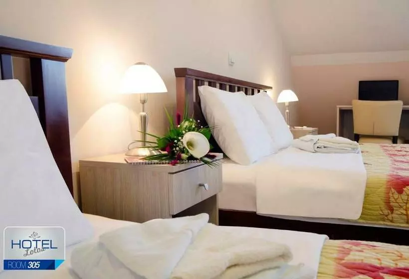 آپارتمان 2 خوابه, Garni Hotel Lotos