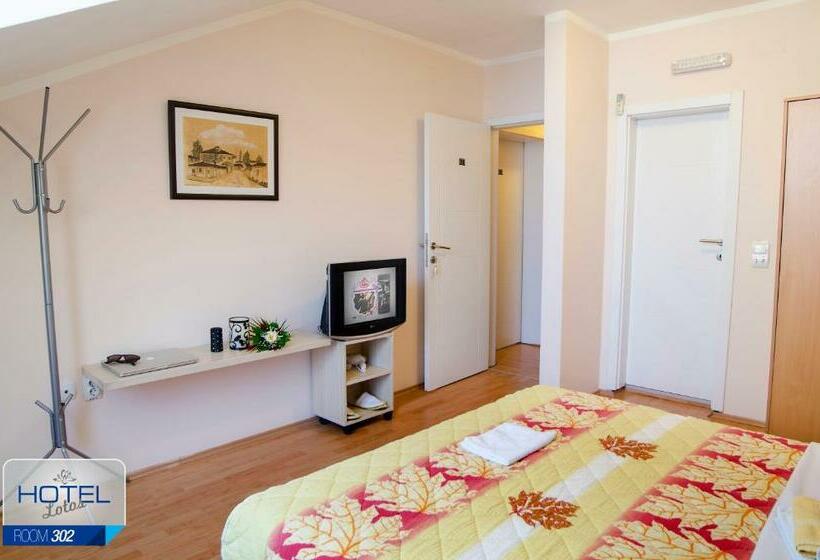 اتاق استاندارد, Garni Hotel Lotos