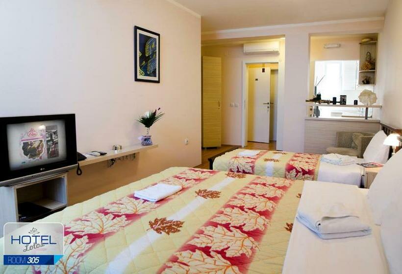 آپارتمان 2 خوابه, Garni Hotel Lotos