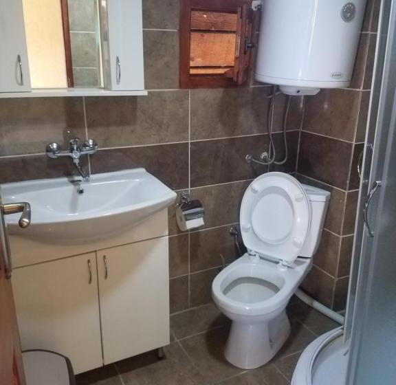 اتاق لوکس سه تخته, Hostel Otard