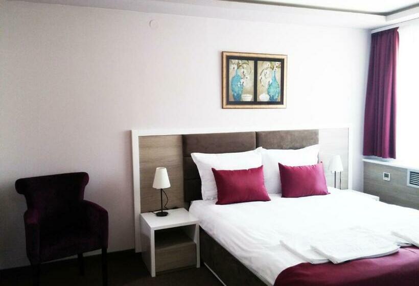 اتاق استاندارد برای معلولان, Ana Lux Spa