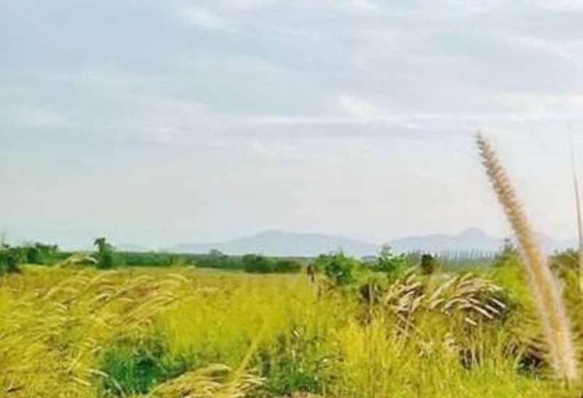 标准间带双人床, Sierra View Resort